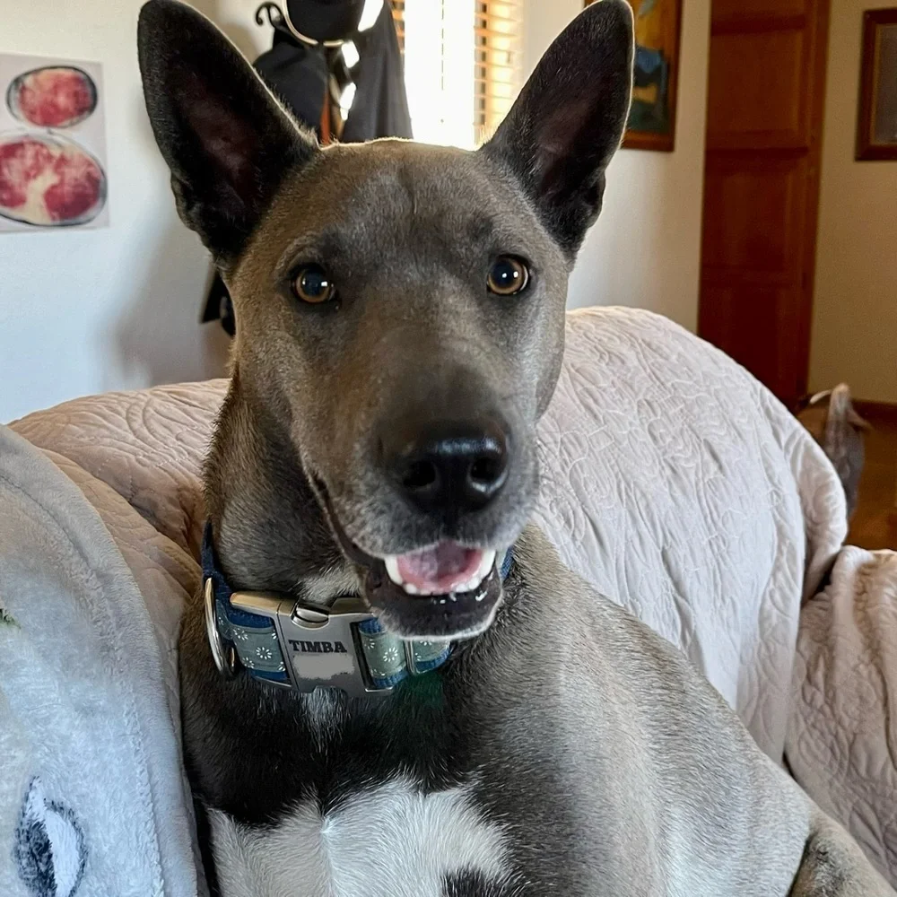 Welcome! - Picture 5 of 7